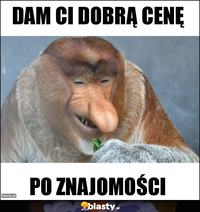 Dam ci dobrą cenę