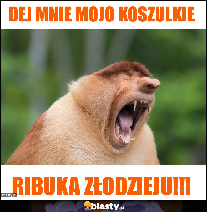 Dej mnie mojo koszulkie