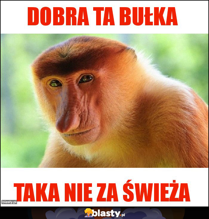 Dobra ta bułka