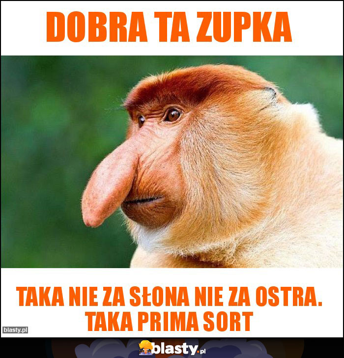 Dobra ta zupka