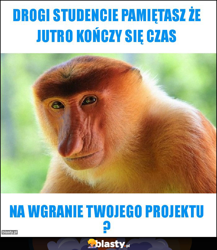 Drogi studencie pamiętasz że jutro kończy się czas