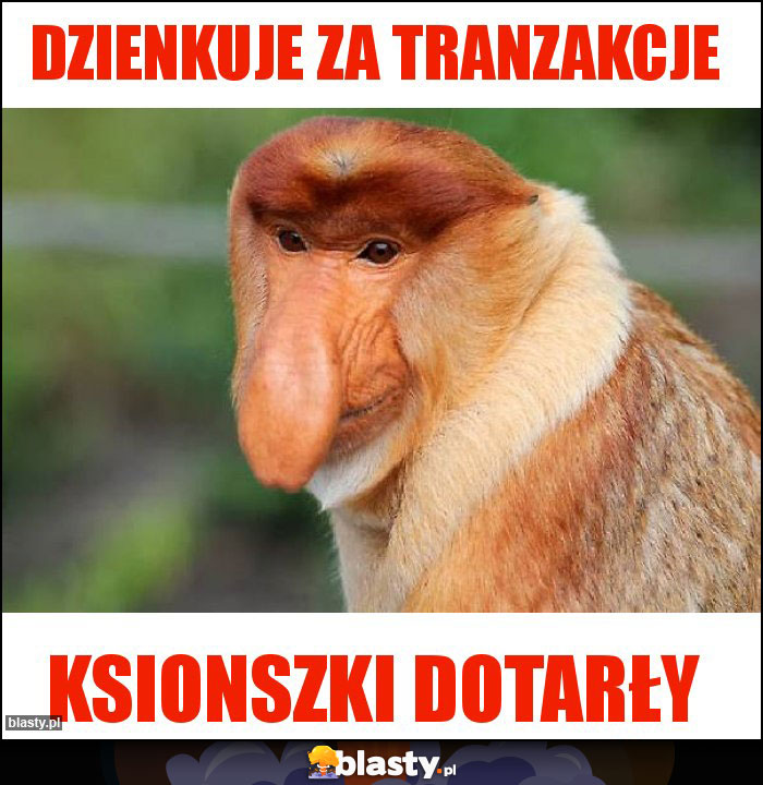 Dzienkuje za tranzakcje