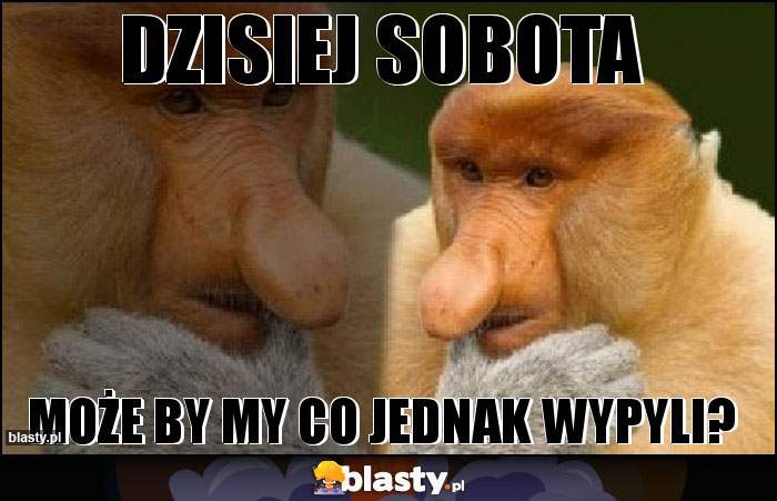 Dzisiej sobota