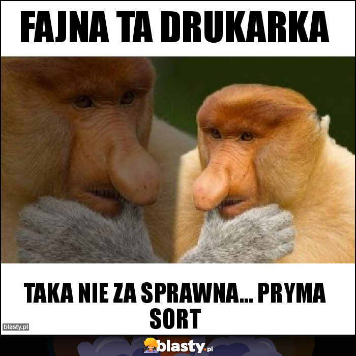 FAJNA TA DRUKARKA