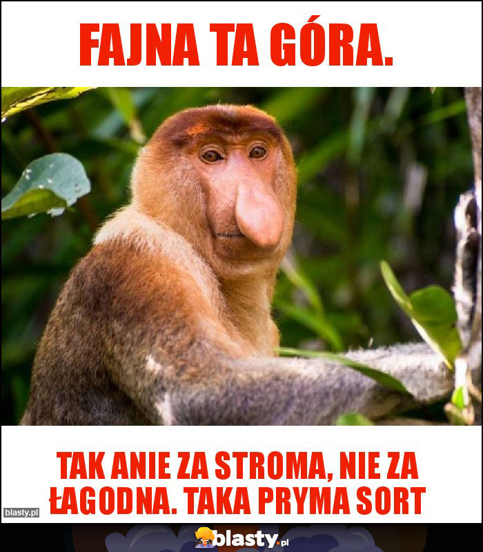 Fajna ta Góra.