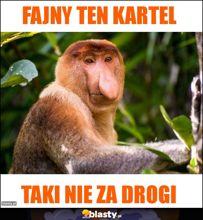 Fajny Ten kartel