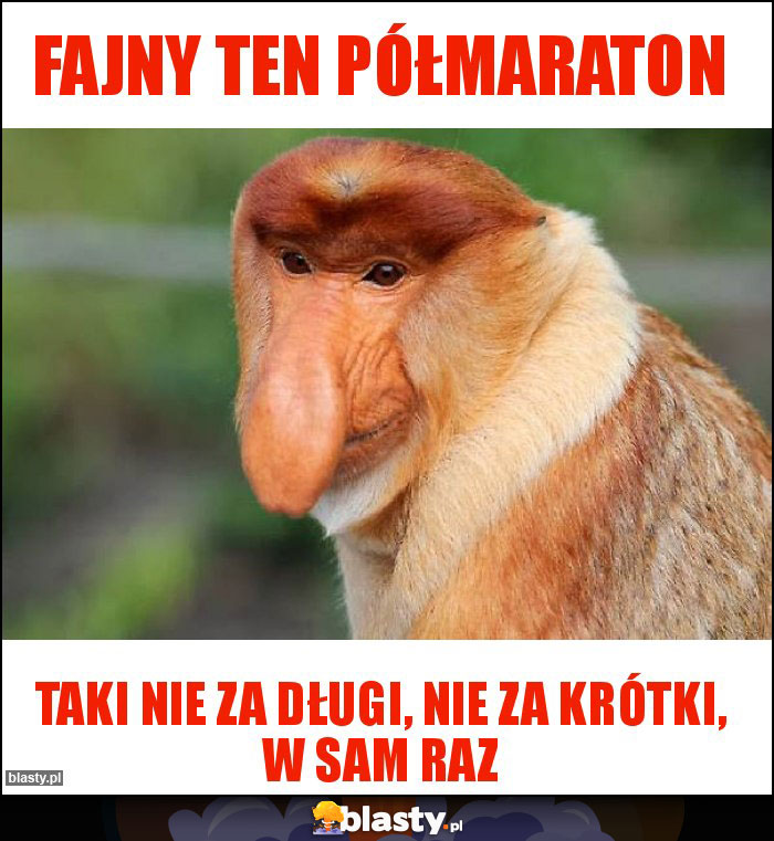 Fajny ten półmaraton