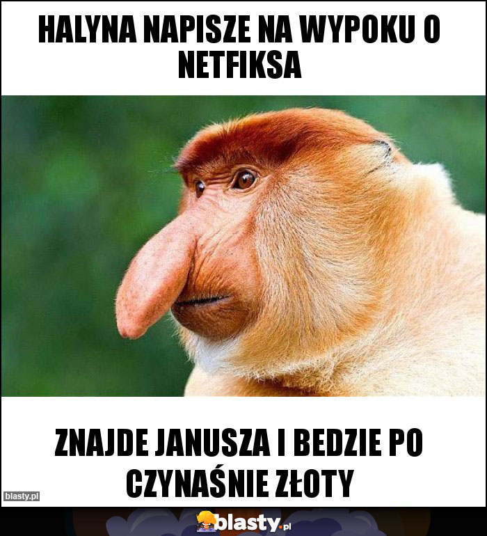 Halyna napisze na wypoku o netfiksa