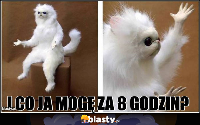 I co ja mogę za 8 godzin?