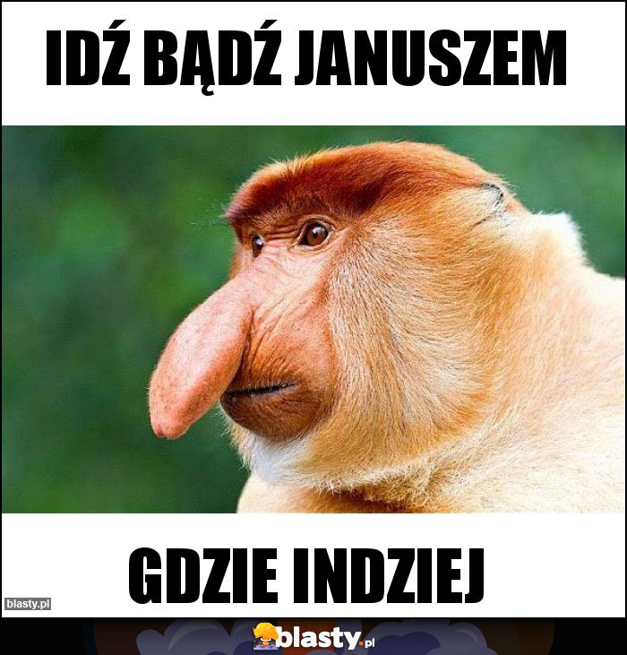 Idź bądź Januszem