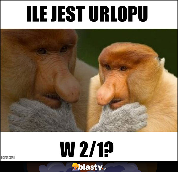 Ile jest urlopu