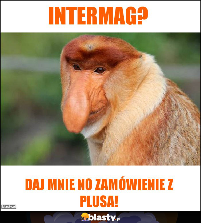 intermag?