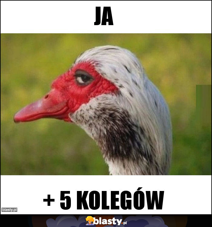 Ja