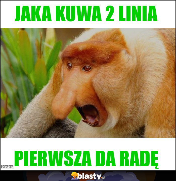 Jaka kuwa 2 linia