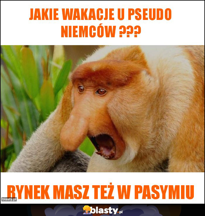 Jakie wakacje u pseudo Niemców ???