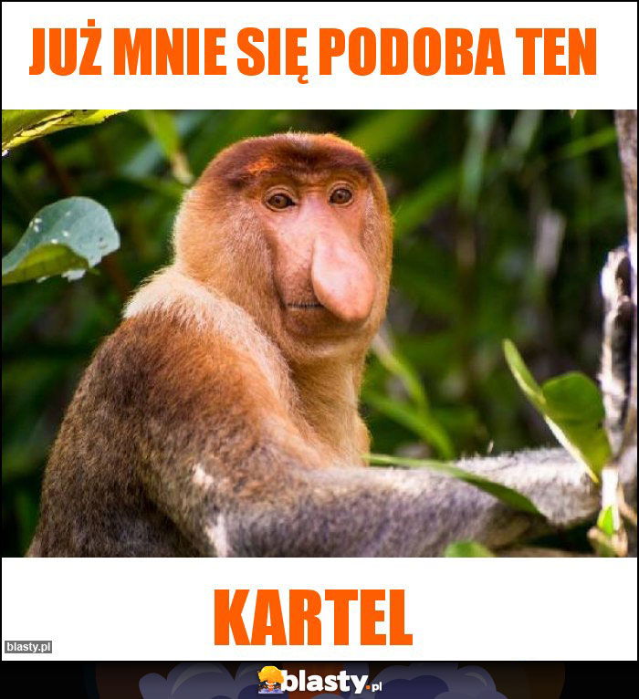 Już mnie się podoba ten