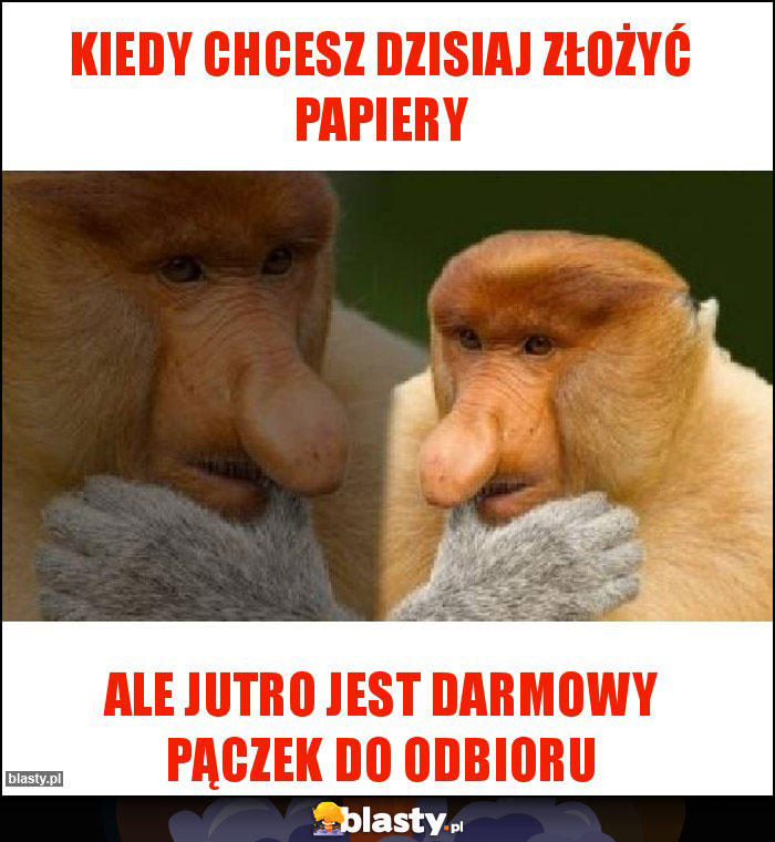 KIEDY CHCESZ DZISIAJ ZŁOŻYĆ PAPIERY