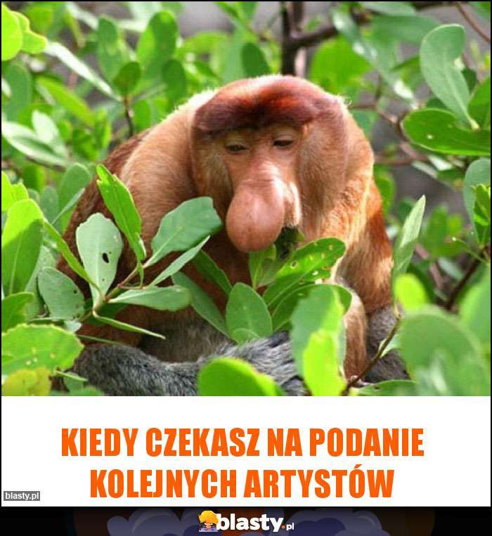 Kiedy czekasz na podanie kolejnych artystów