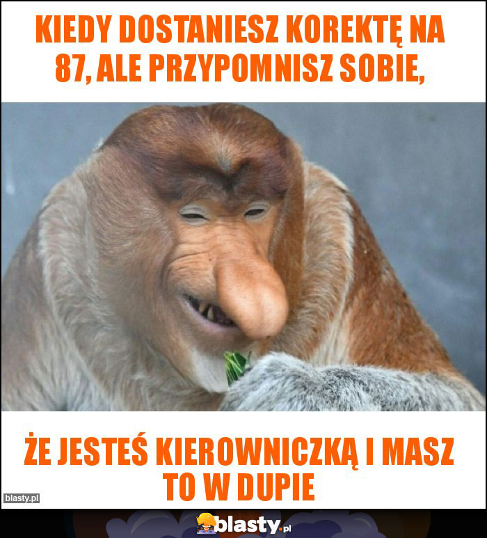 Kiedy dostaniesz korektę na 87, ale przypomnisz sobie,