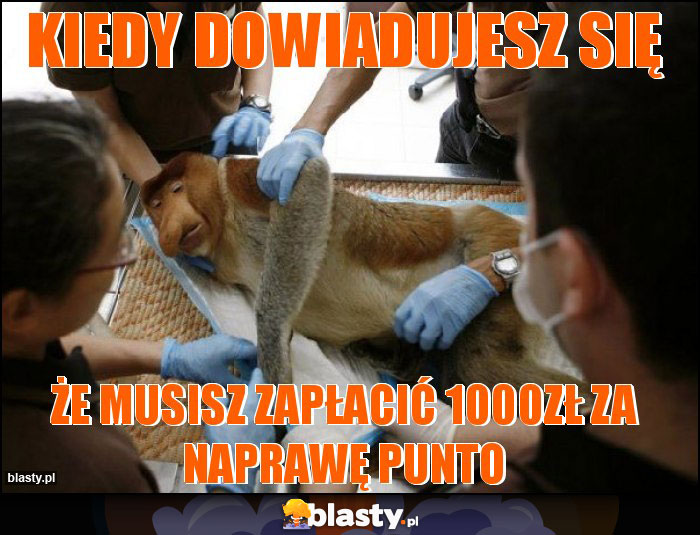 Kiedy dowiadujesz się