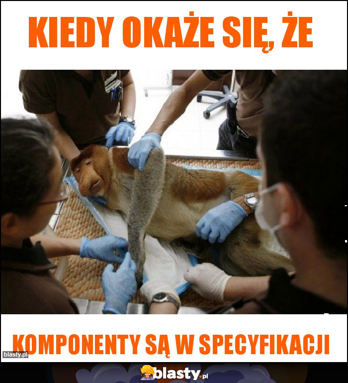 Kiedy okaże się, że