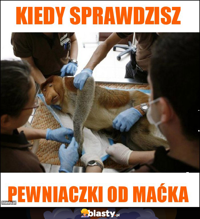 Kiedy sprawdzisz