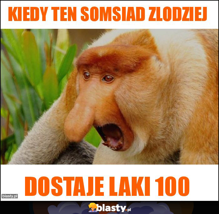 Kiedy ten somsiad zlodziej