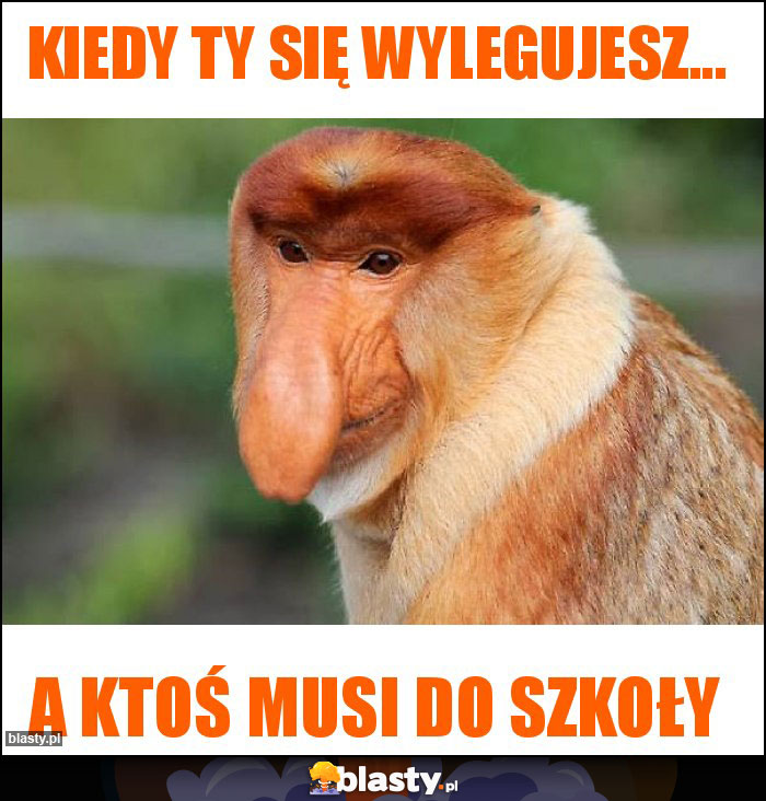 Kiedy Ty się wylegujesz...