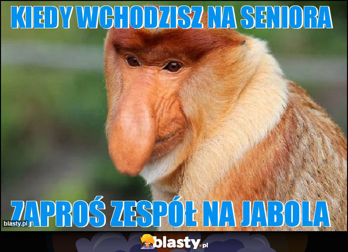 Kiedy wchodzisz na Seniora