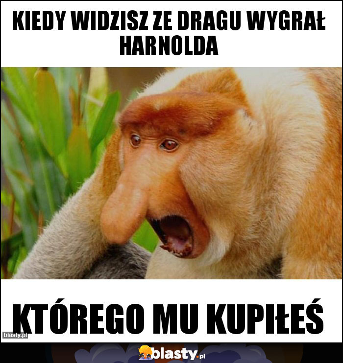 Kiedy widzisz ze dragu wygrał harnolda