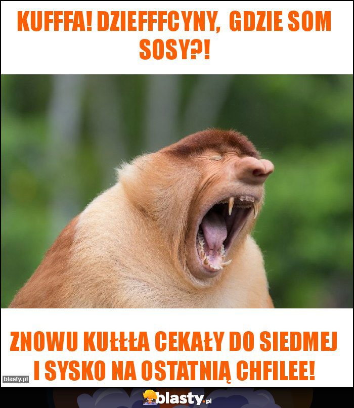 Kufffa! Dziefffcyny,  gdzie som sosy?!