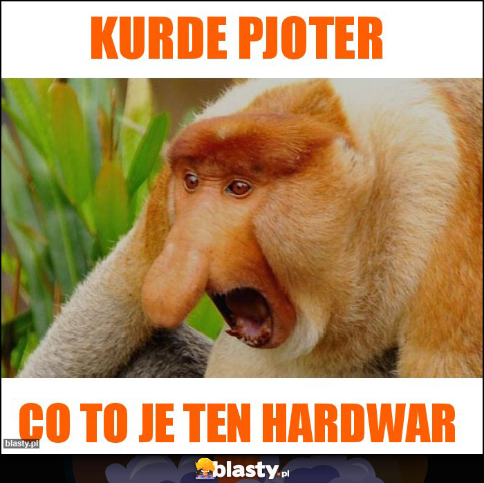 Kurde Pjoter