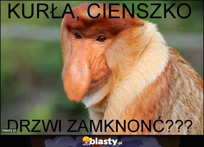 Kurła, cienszko