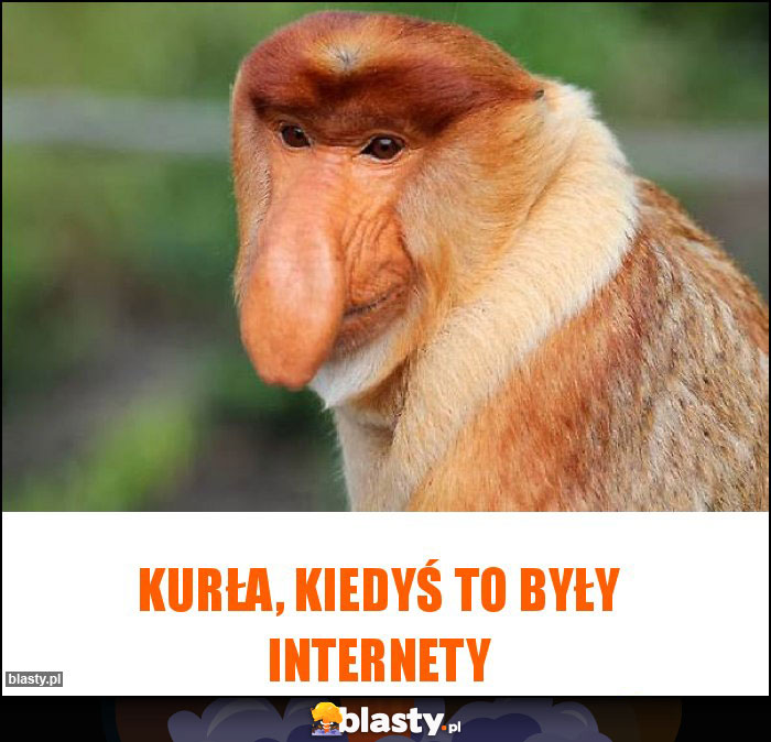 Kurła, kiedyś to były Internety