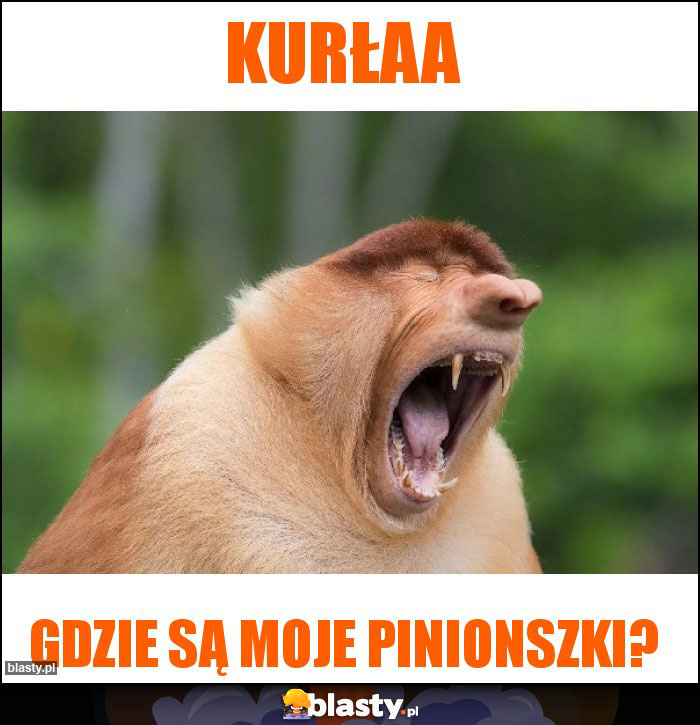 Kurłaa