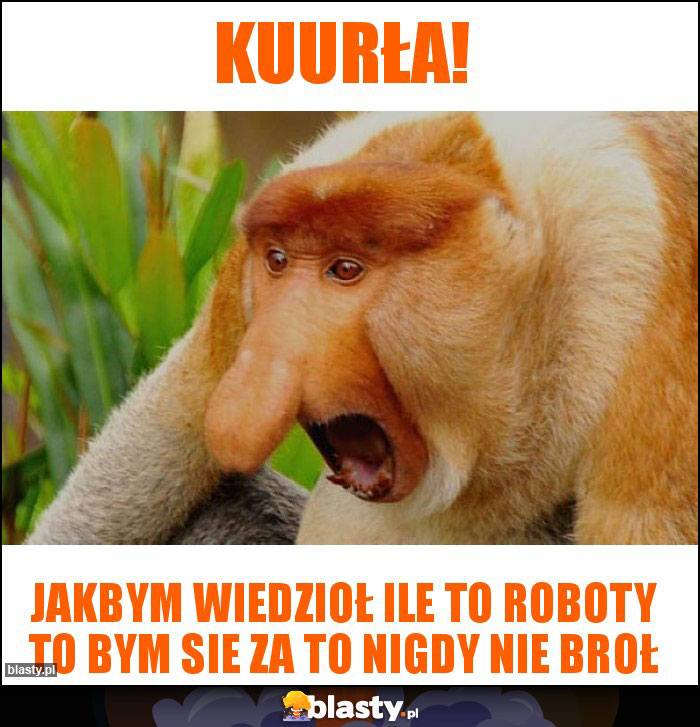 KuURŁa!