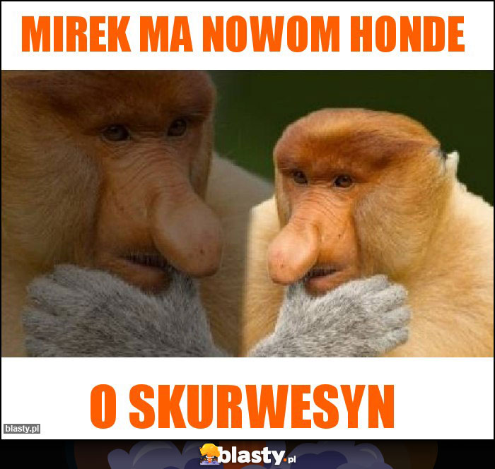 Mirek ma nowom honde