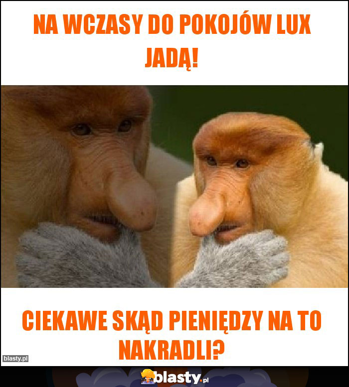 Na wczasy do pokojów lux jadą!