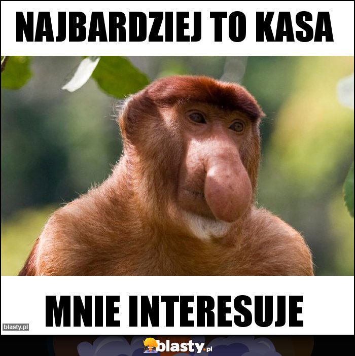 Najbardziej to kasa