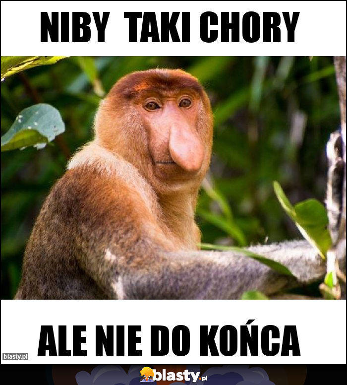 Niby  taki chory