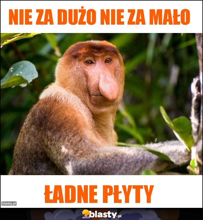 Nie za dużo nie za mało