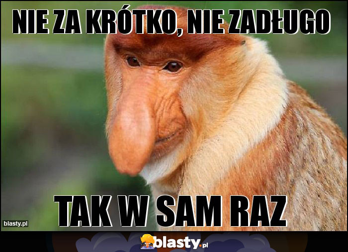 NIE ZA KRÓTKO, NIE ZADŁUGO