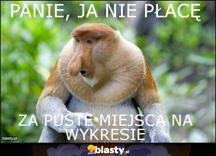 Panie, ja nie płacę