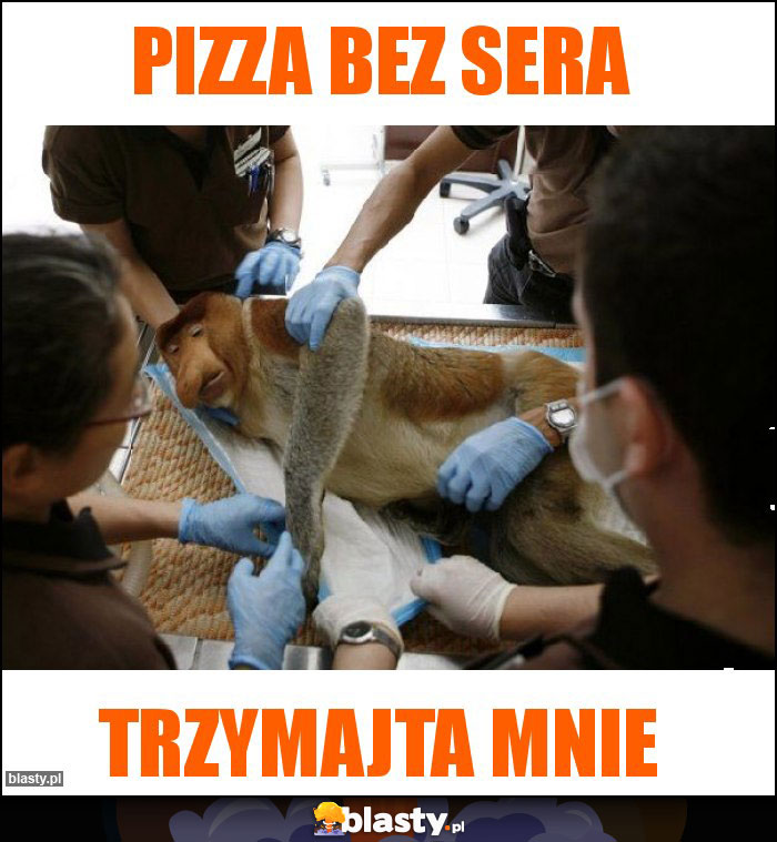 Pizza bez sera