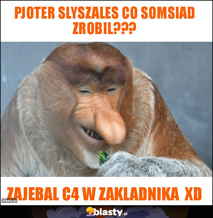 PJOTER SLYSZALES CO SOMSIAD ZROBIL???