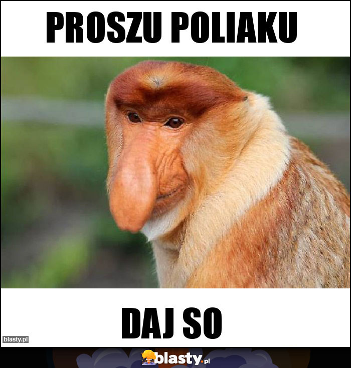 proszu Poliaku