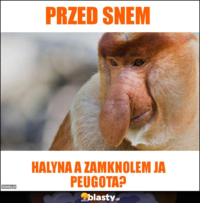 Przed snem