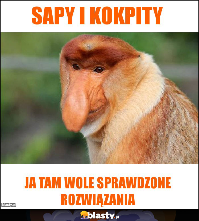 SAPY I KOKPITY