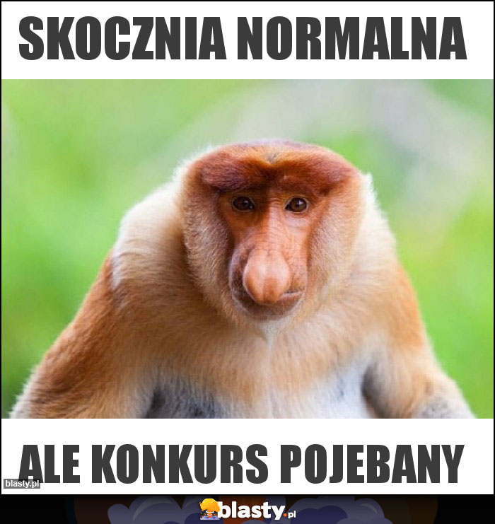 skocznia normalna