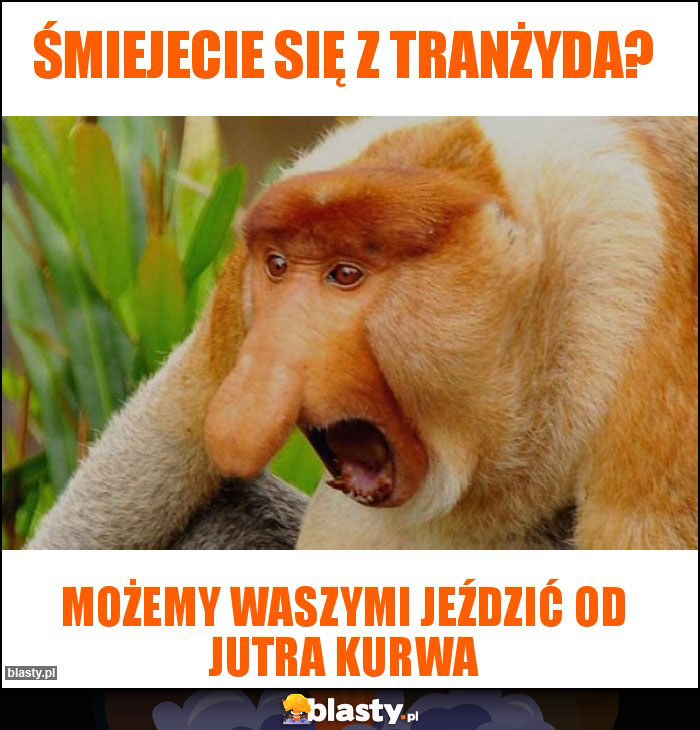 Śmiejecie się z tranżyda?